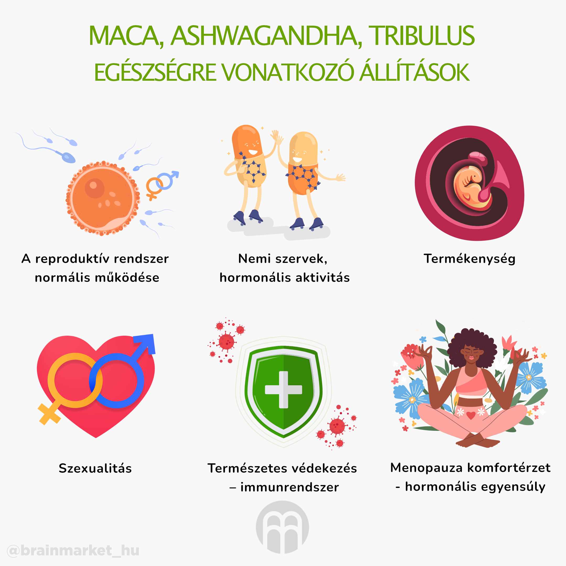 maca, asjhwagandha, tribulus_infografika_hu